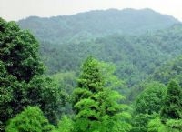 兰州徐家山国家级森林公园