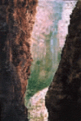 库尔勒天堂大峡谷