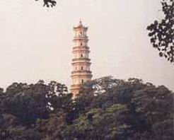 南阳泗水塔