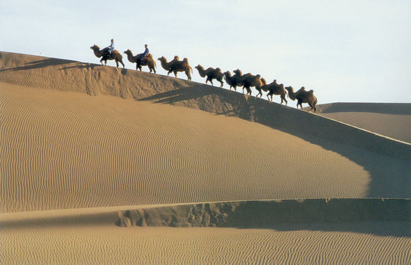 阿拉善巴丹吉林沙漠探险旅游区天气