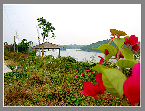 钦州邓阳湖旅游区