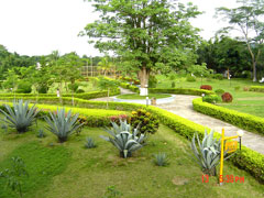 海南热带植物园天气