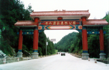 重庆石柱黄水森林公园