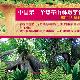 勐腊望天树·阿莲雅热带雨林主题公园天气